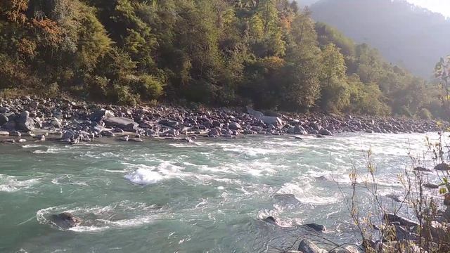 Плазма элемент Бога/Патоген Грибница/Новый Переход/Очищение Сознания и Тела/ зачистка/ Переход Пран