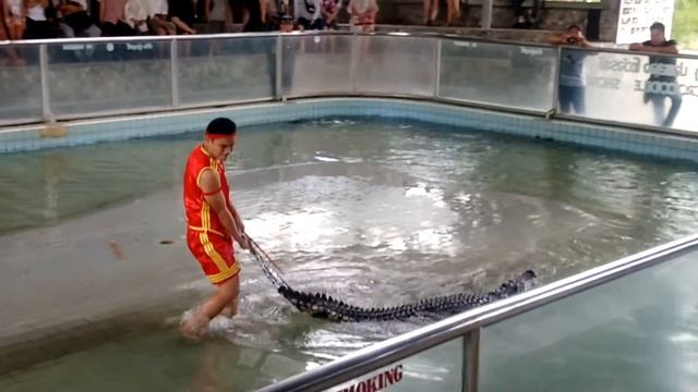 Щелчок пасти крокодила смотреть онлайн