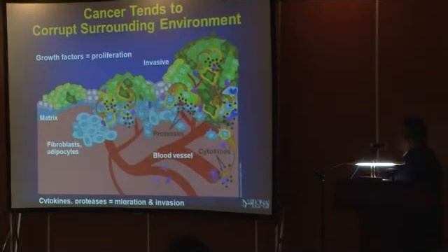 Диагностика ранних форм рака молочной железы смотреть онлайн