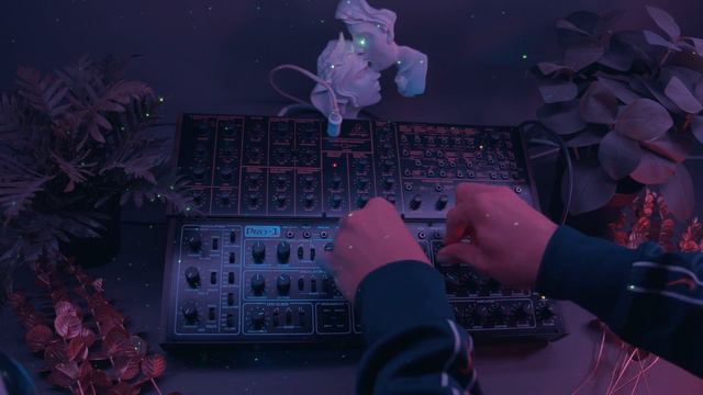 Behringer K2 & Pro 1 - Melodic Techno Performance смотреть онлайн