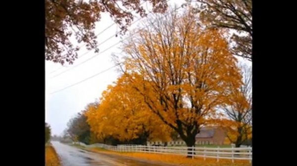 Grapoelli & Menuhin - Autumn Leaves