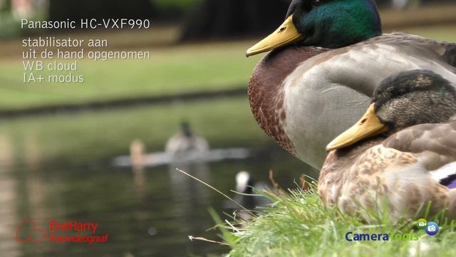 panasonic HC VXF 990 смотреть онлайн