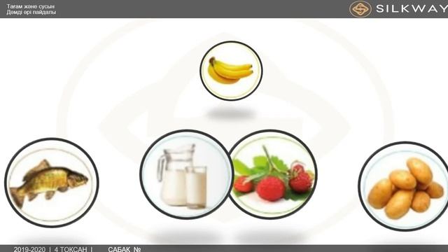 Silk Way мектеп - лицейі. 1- Cынып. Дүниетану. Сабақ №4