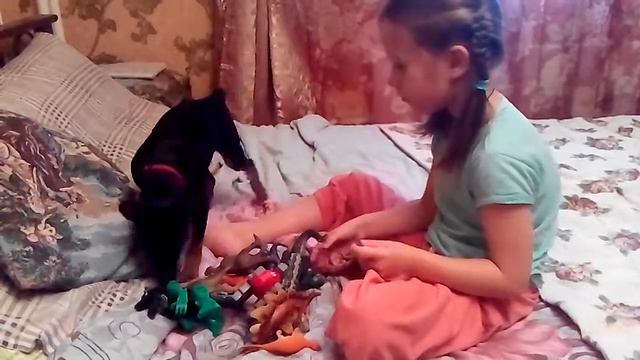 Дети... (цвергпинчер 3.5 мес) смотреть онлайн