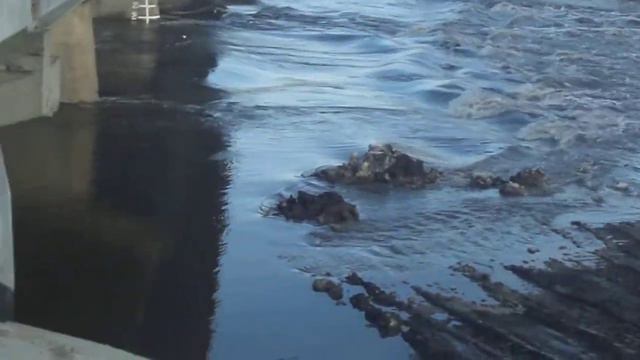 В С.Мамыково начинается половодье ( 20.03.2013 )