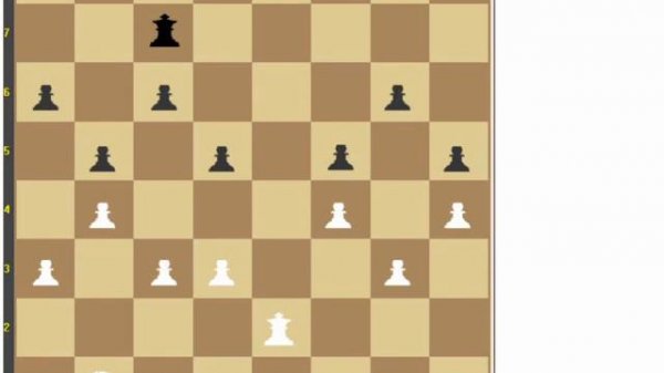 Конь и слон в шахматах