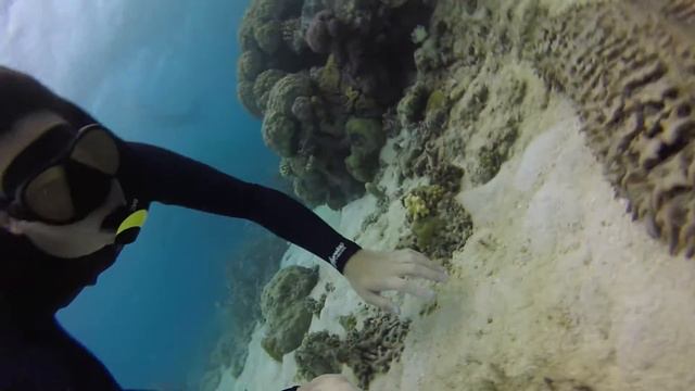 Cruising The Great Barrier Reef смотреть онлайн