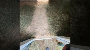 Живые бактерии скотный двор глубокая подстилка тёплая подстилка подробно как применять