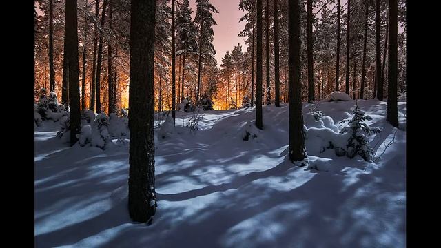 Проект Ивана Бурова, 9 класс смотреть онлайн