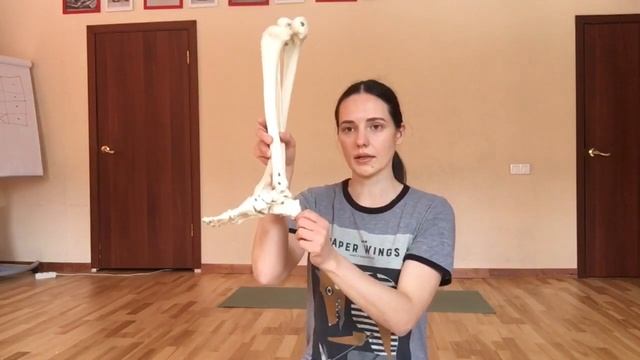 Основы работы со стопой в йоге. Для новичков смотреть онлайн