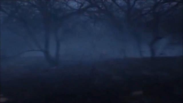 0 1 Резидент Ивел