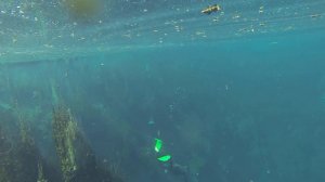 Зарисовка на тему Голубое Озеро