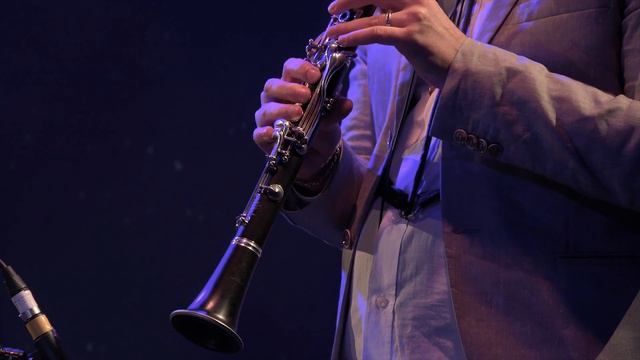 Vorga. Gudimir (gusly) & Simon Wyrsch (clarinet). 4K UHD. 20.11.16 смотреть онлайн