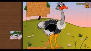 Мультики пазлы Про Диких Животных  Тигр Носорог Сова  Мультфильмы для детей