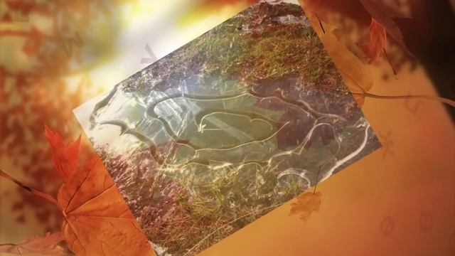 Загадки про осень