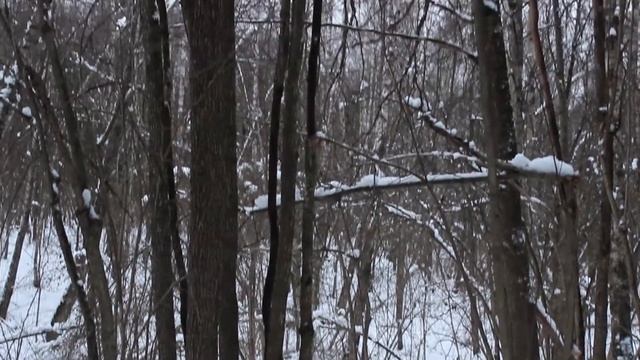 Видео снятое на Canon EOS 600D смотреть онлайн