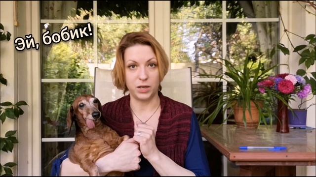 Как французы называют своих собак?| Видеоуроки французского языка смотреть онлайн