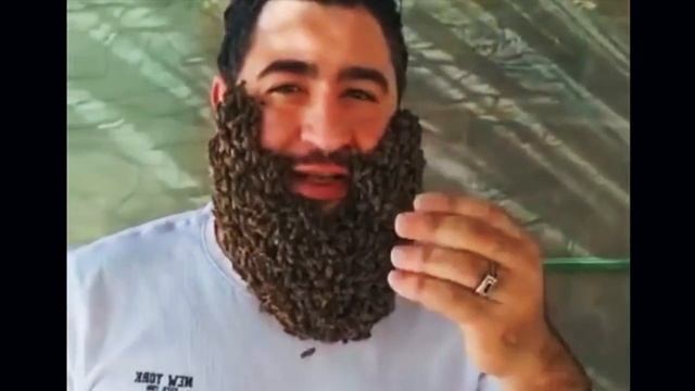 My name is Giovanni Giorgio but. No shaving required Джованни Джорджио смотреть онлайн
