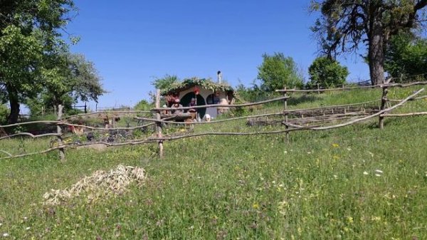 Harvesting and Drying Herbs for Teas and Cooking Easy Spring Dish, Cooking on Nature