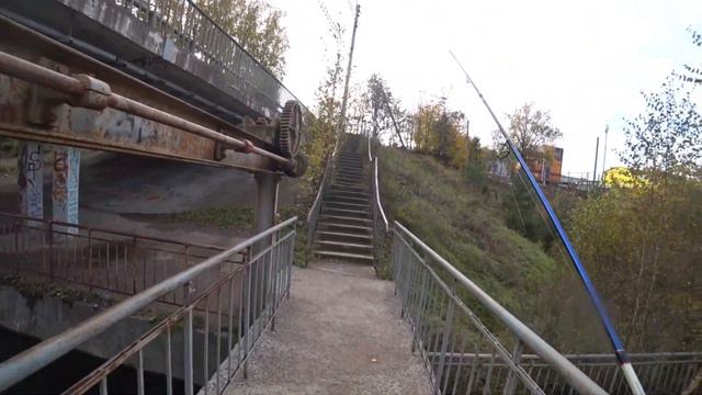 Рыбалка с берега в Рощино 19.10.23. смотреть онлайн