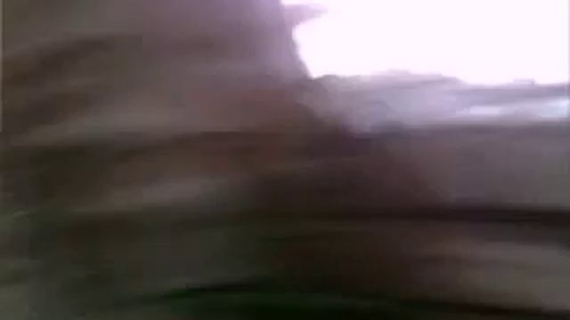 Прогулка утром смотреть онлайн