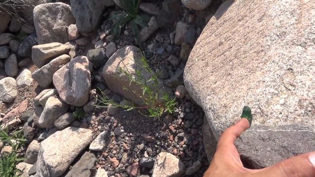 83 Вроде цвет один оттенок разный смотреть онлайн