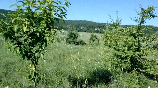 Обзор поместья-Базы Автономов Льва&Рады 04.07.2020 смотреть онлайн
