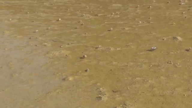 Пляж ЛаЯн ( Пхукет) на расцвете смотреть онлайн
