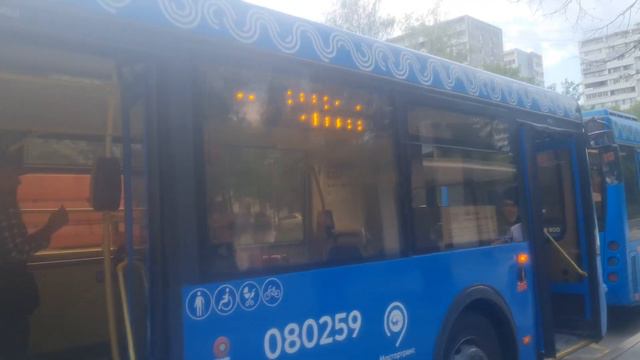 Автобус 641 и 77 смотреть онлайн