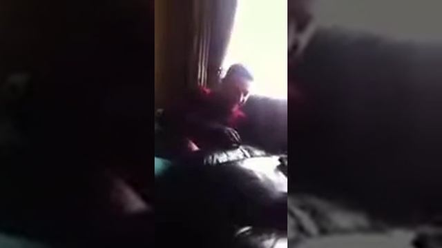 Crazy Cat Just Loves To Play Tag смотреть онлайн