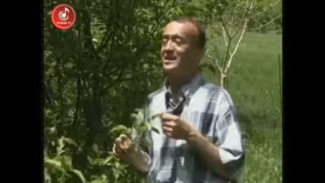 Гарибшо компания 2020!