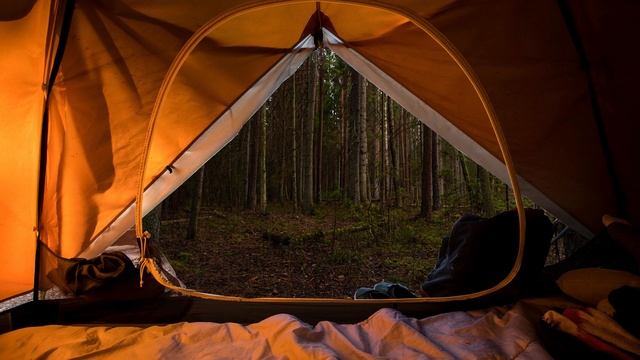 Сон в палатке в дождливом лесу | Звук дождя 3 часов для сна. ,медитации или учёбы смотреть онлайн