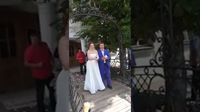 Запуск голубей на свадьбе. смотреть онлайн