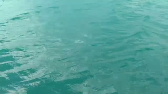 klepper aerius смотреть онлайн