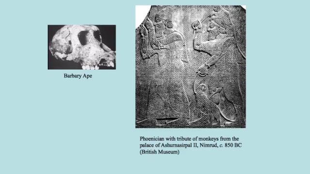 2014 Rhind Lecture 4: "The Horse Goddess" by Professor John Waddell смотреть онлайн
