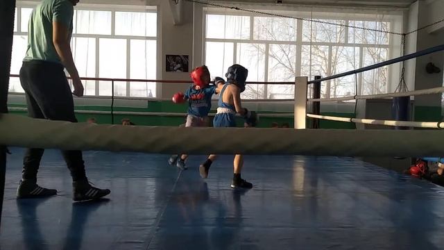 Отличный бой маленьких боксёров смотреть онлайн