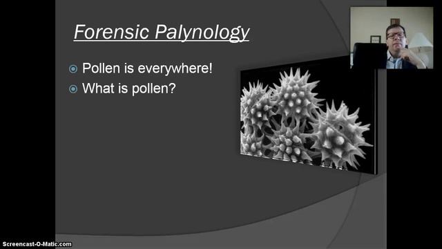 Pollen Lecture 2014 15 смотреть онлайн