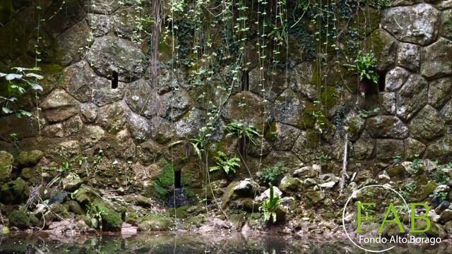 2020 sett 26 - Lettera Vittorino Andreoli a favore del "Fondo Alto Borago" смотреть онлайн