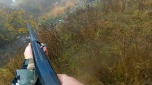 ОХОТА ПО ПЕРУ ЗА ОКТЯБРЬ С РУЖЬЕМ Huglu Renova Black Wood 12х76 760мм