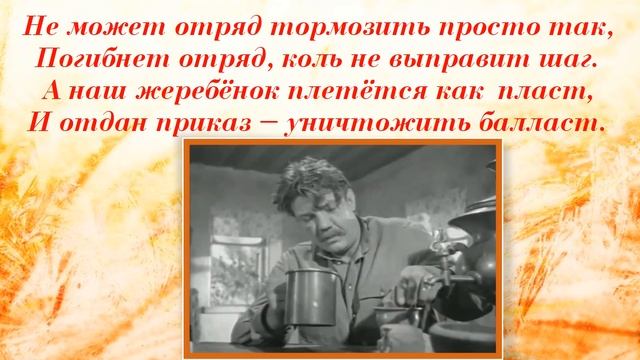 Жеребенок