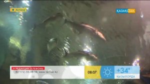 Астана-арман қала