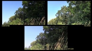 Comparaison Canon Legria HFG30 - Sony HDR-PJ780 - Panasonic HC-X920