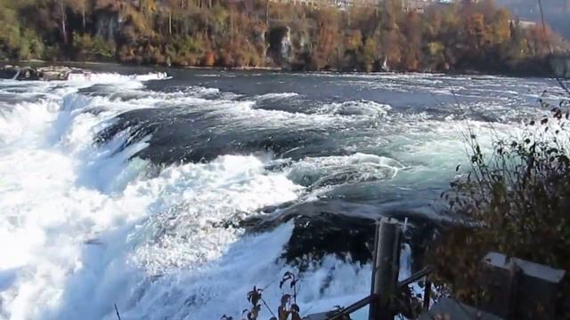 Рейнский водопад || Rhine falls || Rheinfall смотреть онлайн