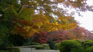 Вадим Козин. Осень