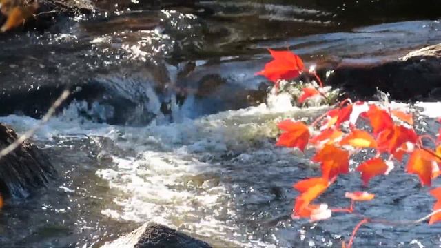 Лечебная музыка для души, сердца, сосудов и нервной системы. Музыка для сна...