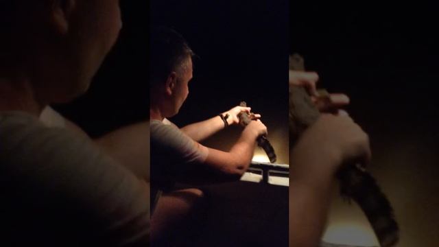 Бразилия. Манаус. Амазонка. Ночная 