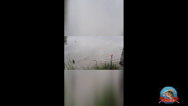 СеМеЙнЫй ПИКЕР смотреть онлайн