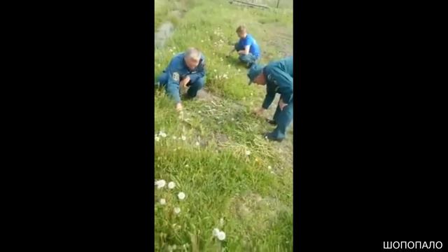 В пожарной части Новосибирской области приказали убрать территорию от травы маникюрными ножницами. смотреть онлайн