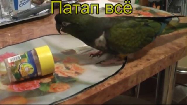 зубочистка смотреть онлайн