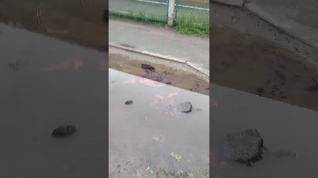 Как сделать катер из листика! смотреть онлайн